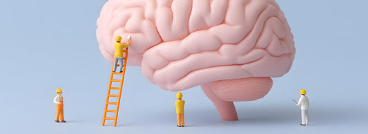 Neuroplasticity: how your brain can regenerate and strengthen